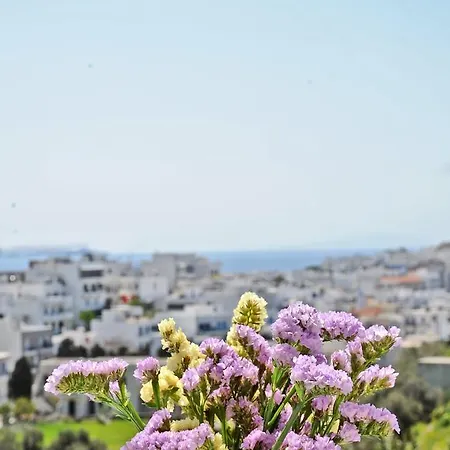 Filoxenia 3* Tinos