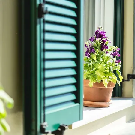 Guest house Filoxenia Tinos